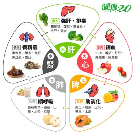 紅色食物五行|藥補不如食補！吃這『五色』食物養五臟